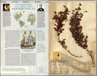 Du seul point de vue botanique, les résultats de ses 5 années d'exploration savéreront ...