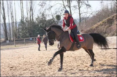 Pour la dernière question, qui est cette youtubeuse ?