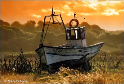 Je joue dans "Le Bateau sur l'herbe".
Je m'appelle...