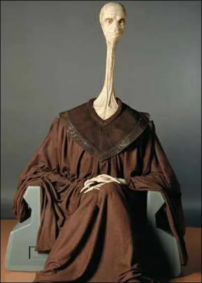 Pour finir, qui est ce Maître Jedi ?