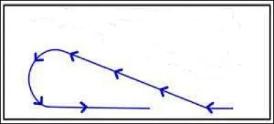 Cette figure de dressage est...