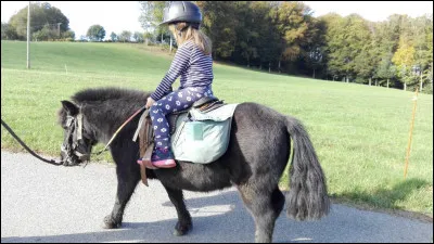 De quel côté doit-on monter à cheval ?