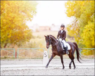Combien de temps comporte le trot ?