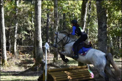 Qu'est-ce que le CCE ?