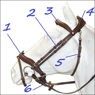 Quels sont les numéros 1 et 2 ?
