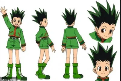 Quel est le rêve de Gon Freecs ?