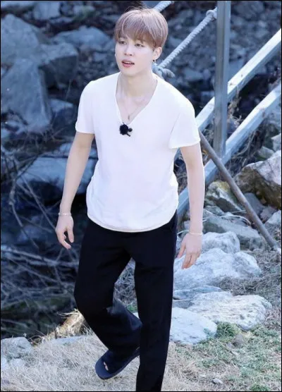 Qui est le membre le plus bizarre ?