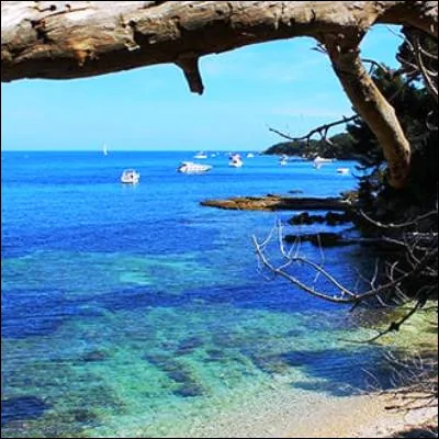 Quel village de p&ecirc;cheurs du Var est devenu une station baln&eacute;aire &agrave; la mode sous l�impulsion des artistes de la Nouvelle Vague et des y&eacute;-y&eacute;s ?