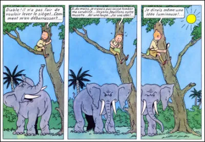 Que va faire Tintin, alors qu'il est au Congo ?