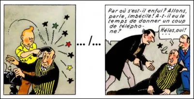 Mais à qui diable Tintin a-t-il pu donner un coup de téléphone, selon vous ?