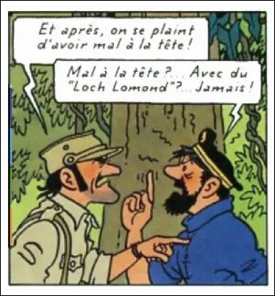 Haddock, toujours aux premières loges ! Que va-t-il se passer en case suivante ?