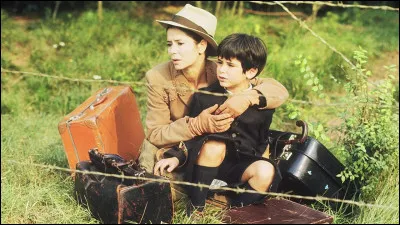 Qui a réalisé le film "les Violons du bal" ?