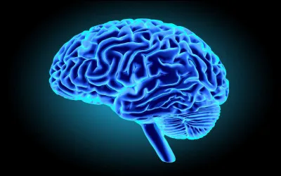 Comment sappelle le mangeur de cerveaux ?