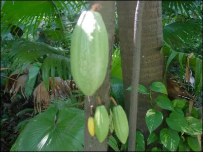 Peut être utilisée à des travaux de sabotage, c'est la...
