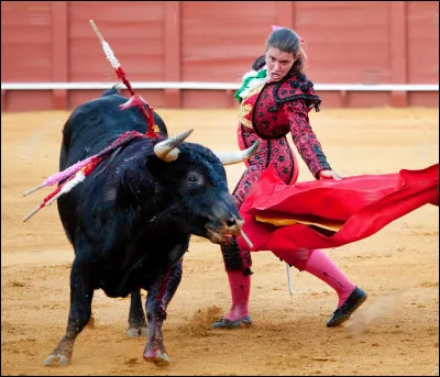 1978, Danemark > Fresque de l'Histoire sociale danoise dans une ville de province imaginaire, entre l'arrivée de la Grande Dépression des années 1930 et l'occupation allemande.
Indice : C'est aussi le nom du "Monopoly", au Danemark !