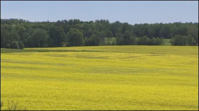 De quel pays Nicosie est-elle la capitale ?
