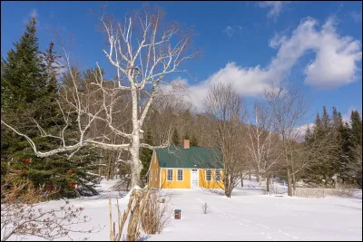 Quel climat te va le mieux ?