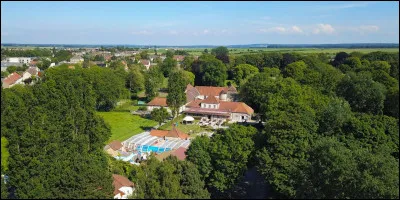 Quel est ton genre ?