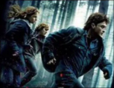 Compl&egrave;te le titre des deux derniers "Harry Potter" (partie 1 et 2) : "Harry Potter et ...