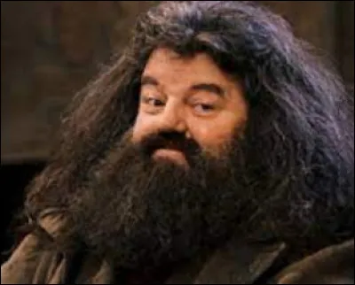 Tu t'assois ensuite avec les membres de ta maison. Albus termine son long discours et tout le monde d&eacute;vore alors le grand repas. D&eacute;vorant le poulet curry aux pommes de terres, tu t'aper&ccedil;ois qu'un serpent est dans l'assiette d'Hagrid. Que cries-tu ?