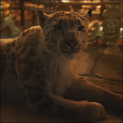 Comment sappelle le dæmon de Lord Asriel ?