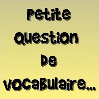 'Ravauder' signifie :