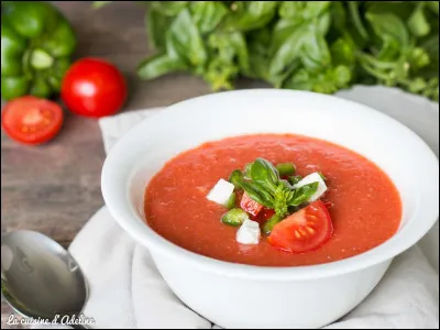 Le gaspacho est un plat de quelle origine ?