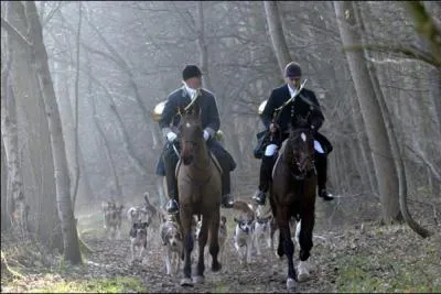 La vnerie est l'art :