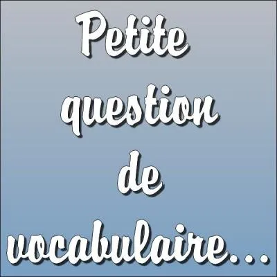 'Opinitre' signifie :