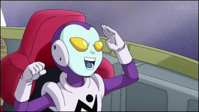 Qui n'apparaît pas dans DBZ ?