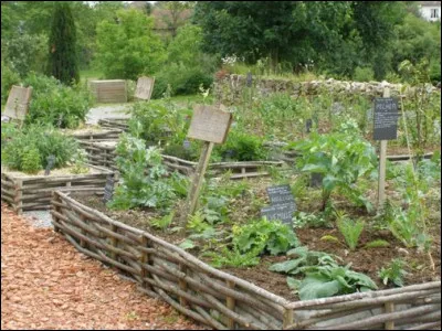 De qui, Émile Guillaumin nous raconte-t-il la vie ?