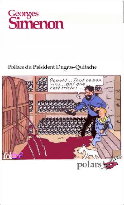 Quel est le titre de ce roman ?