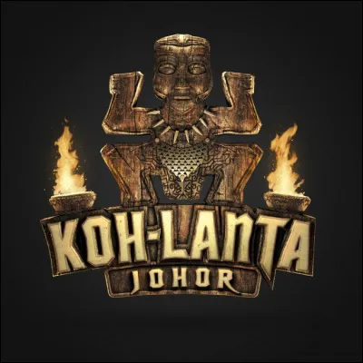Quel était le nom de l'équipe jaune dans la saison 14 "Koh-Lanta Johor" ?