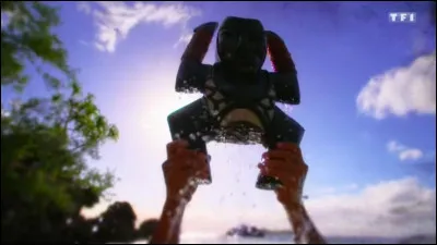 Quels sont les meilleurs aventuriers de "Koh-Lanta" ?