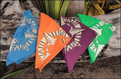 Dans "Koh-Lanta : Les 4 Terres", quelles couleurs correspondaient à quelles régions ?