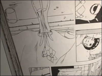 Quelle fleur a choisie Sakura pour Sasuke, mais quelle a donnée à Rock Lee ?