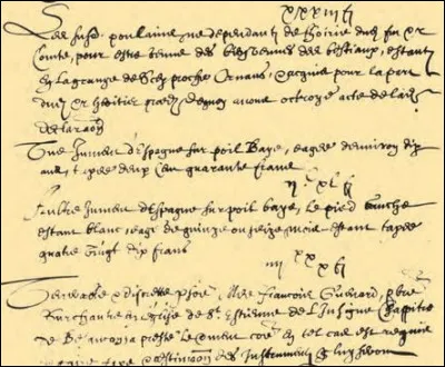 Voici un passage de son t&eacute;moignage : &laquo;Terrae tremor perseuerabat&raquo;Cela signifie :