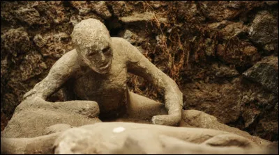 On peut admirer ces corps (dans le mus&eacute;e ou sur le site), fig&eacute;s dans l'expression du moment de leur mort. Ils ont &eacute;t&eacute; :