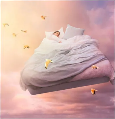 Quel est ton r&ecirc;ve ?