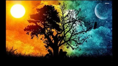 Aimes-tu le jour ou la nuit ?