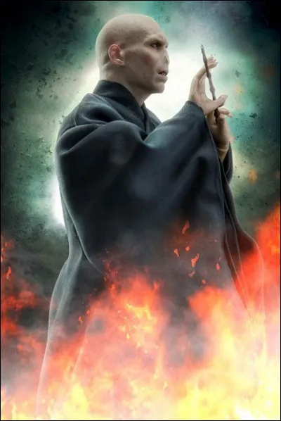 Quel nom te convient le mieux ?