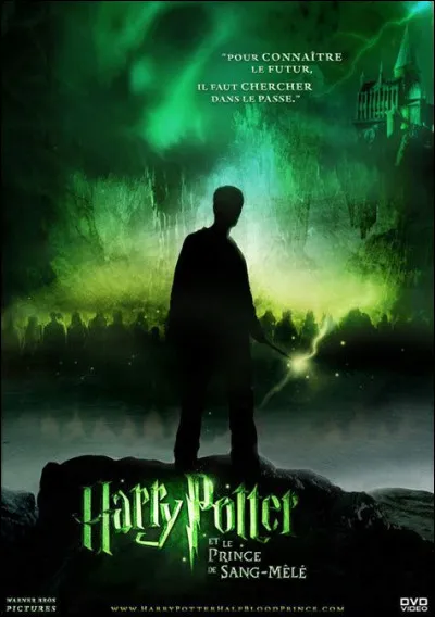 Quel est ton meilleur domaine en Magie ?