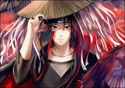 Parmi ceux-ci, lequel n'est pas un Uchiwa ?