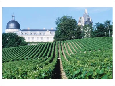 Quel célèbre Français du XVIIIe siècle, propriétaire du château de Valençay a fait connaître les vins de cette AOP ?