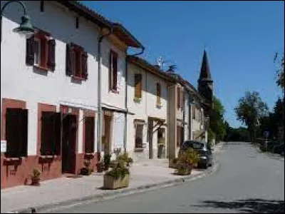 Commune occitane, dans l'arrondissement de Muret, Labruy&egrave;re-Dorsa se situe dans le d&eacute;partement ...