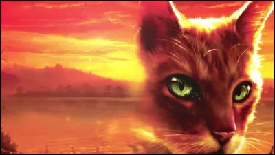 Finissons le deuxième cycle. Qui est la sur de la mère du mentor de la compagne de ce chat ?