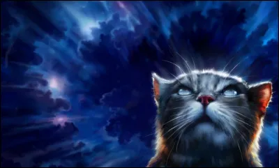 Continuons avec le cycle 3. Ce chat aveugle sera d'une grande importance durant les tomes à venir. Il s'agit de...