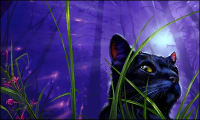 Comment s'appelle cette chatte noire, qui se cachera pendant de nombreuses lunes dans les tunnels ?