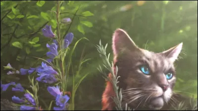 Quant à ce chat, son nom est...