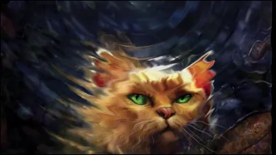 Qui est ce chat roux dont on voit le reflet dans l'eau ?